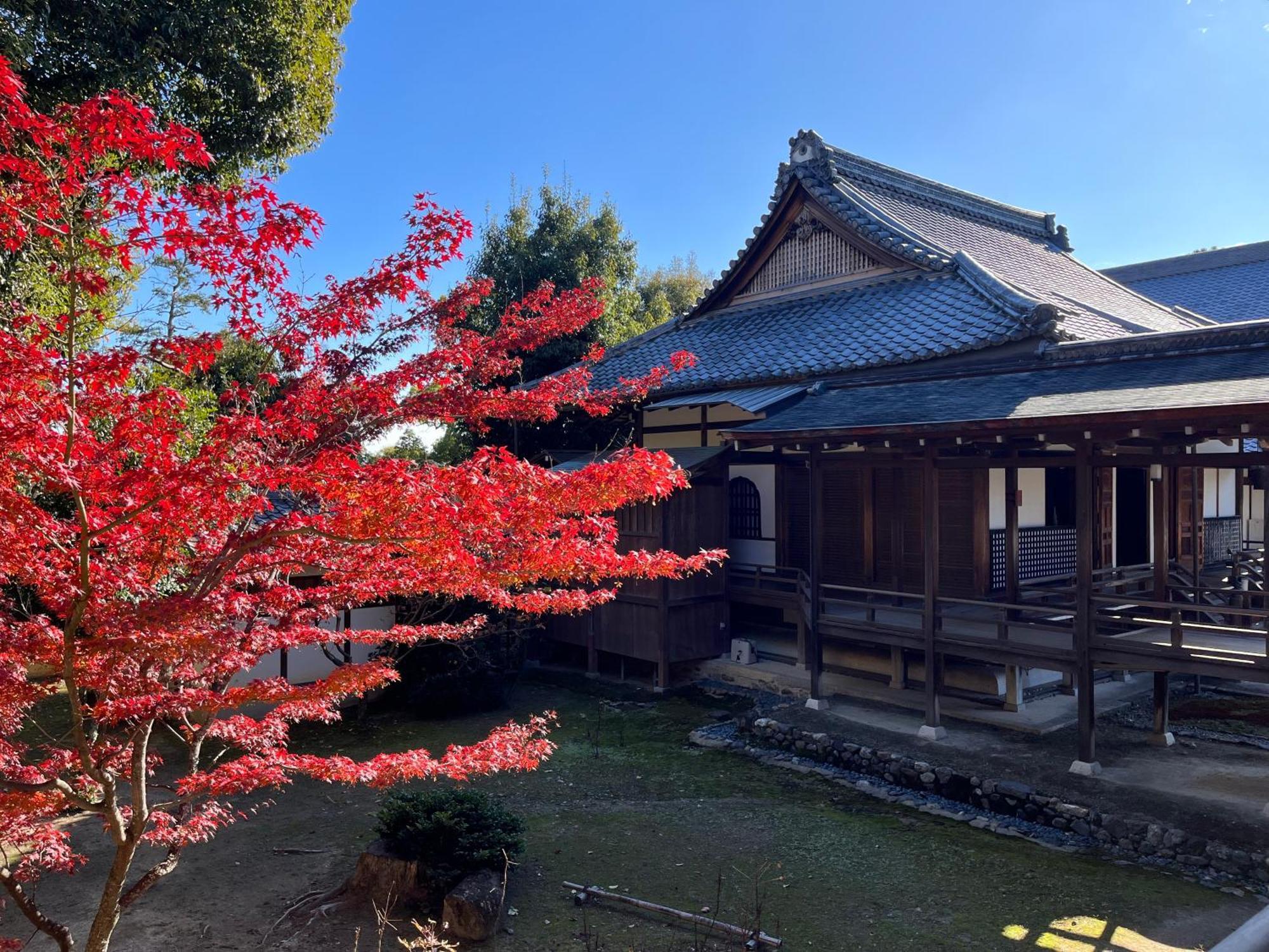 嵐山 天龍の宿 駐車無料 一棟貸切 最大5人 Dragon Legend Arashiyama Central Private Rare Modern Villa Free Parking Max 5Ppl Shimo-saga Zewnętrze zdjęcie